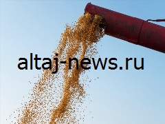 Алтайский край осуществил экспорт свыше 300 тысяч тонн зерновых.
